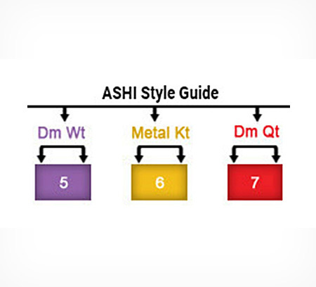 ASHI Style Guide